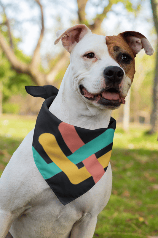 The Pet Scarf - image4