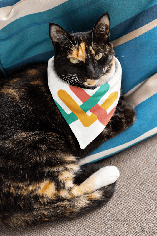 The Pet Scarf - image3